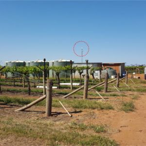 Farms and vineyards